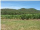 Cardwell QLD 4849
