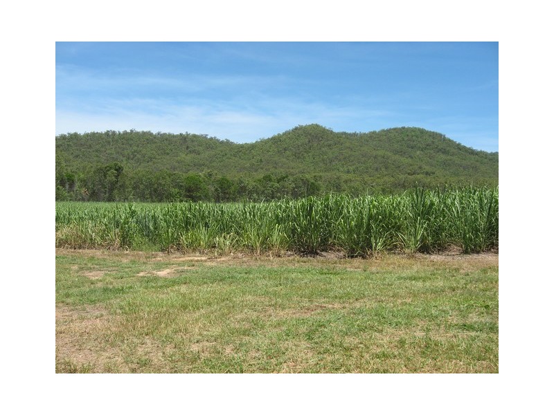 Cardwell QLD 4849
