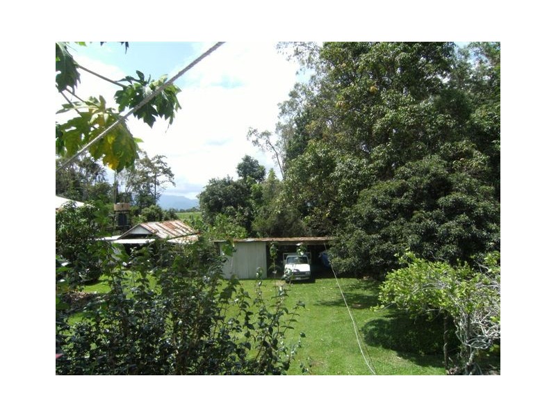 257 Four Mile Road, Ingham QLD 4850