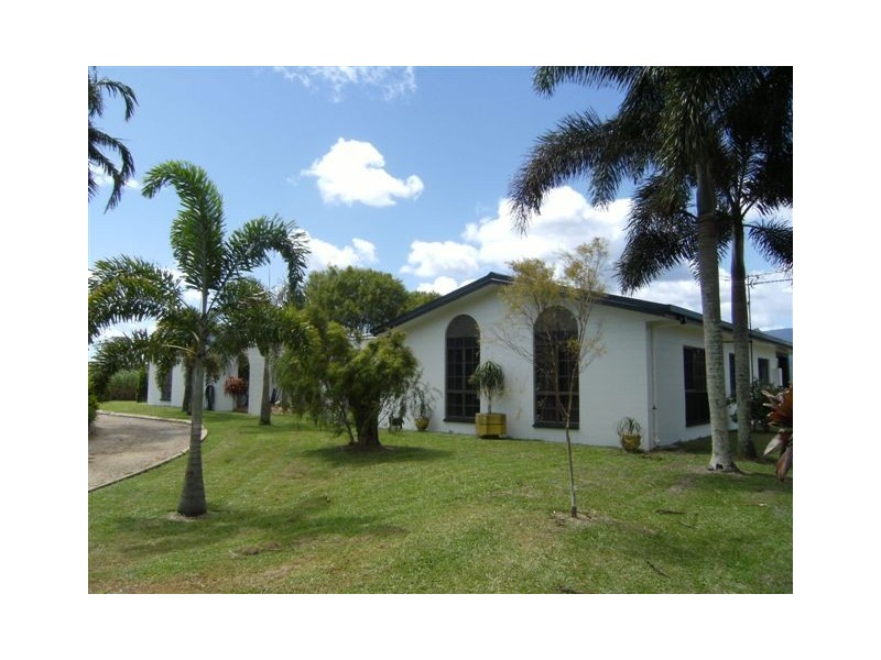 558 Hawkins Creek Road, Hawkins Creek QLD 4850