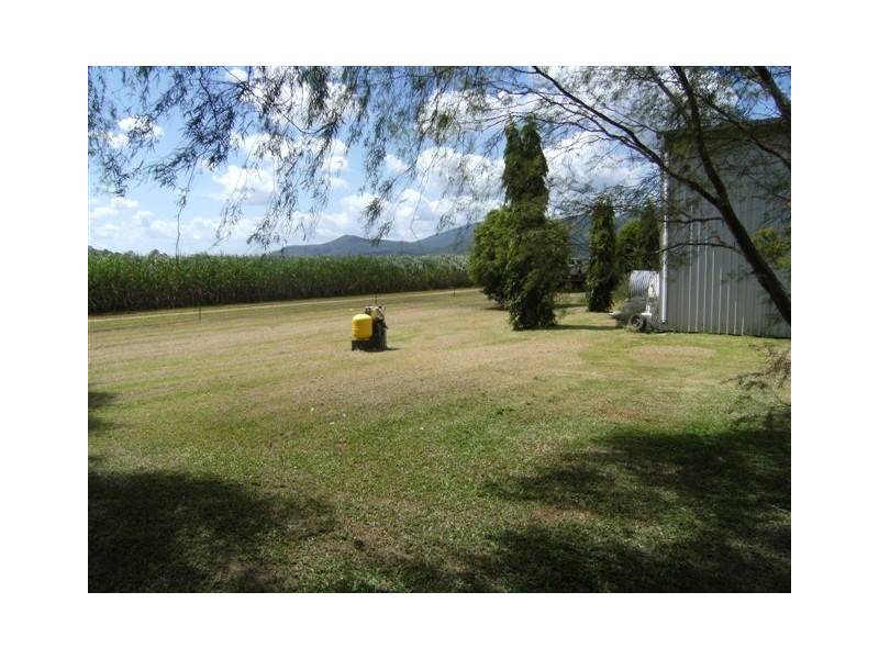 558 Hawkins Creek Road, Hawkins Creek QLD 4850