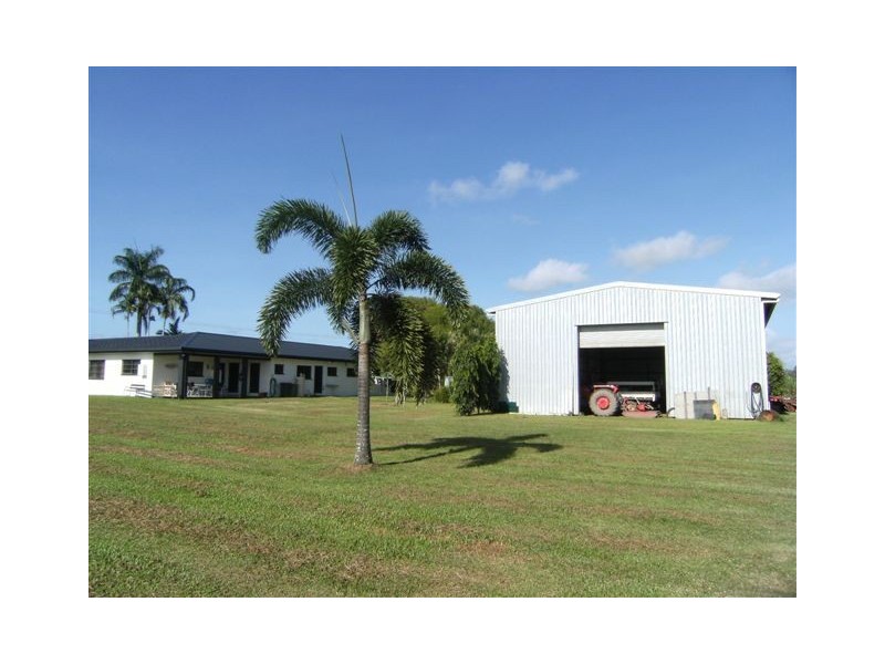 558 Hawkins Creek Road, Hawkins Creek QLD 4850