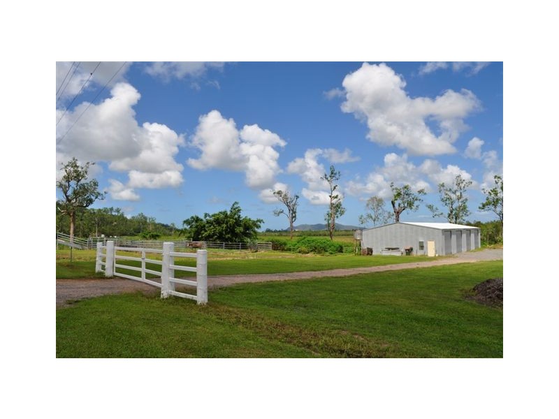 250 Mt Cudmore Road, Ingham QLD 4850