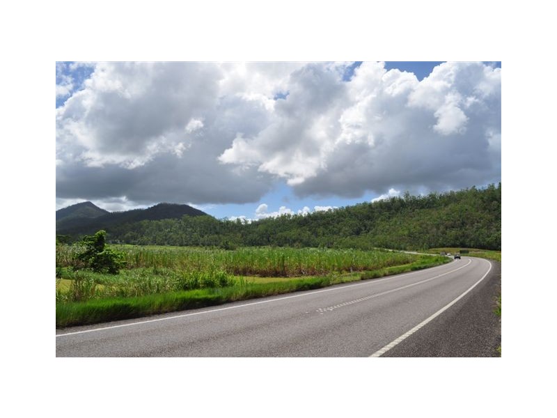 250 Mt Cudmore Road, Ingham QLD 4850