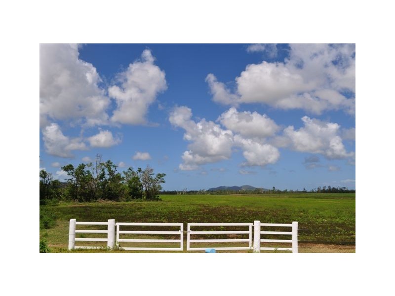 250 Mt Cudmore Road, Ingham QLD 4850