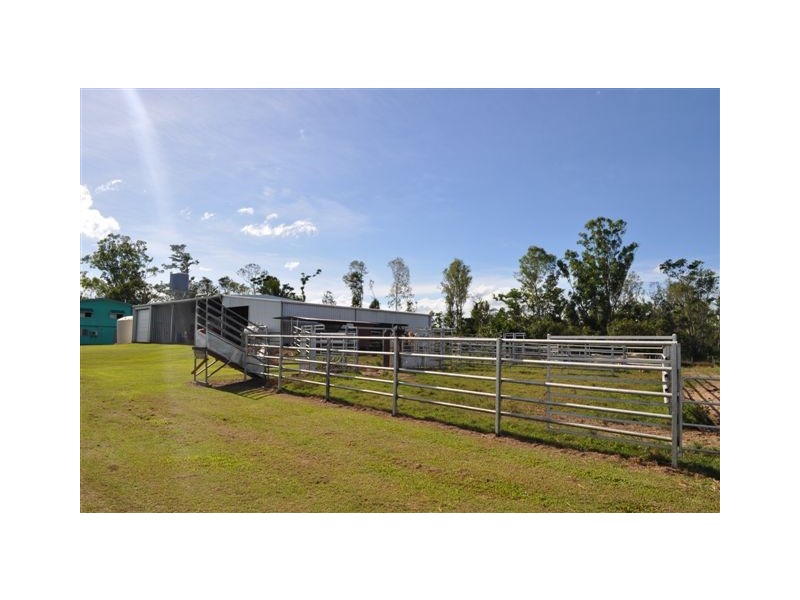31 GAIA RD, Ingham QLD 4850