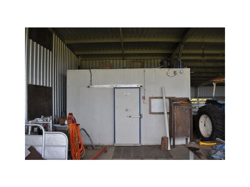 31 GAIA RD, Ingham QLD 4850