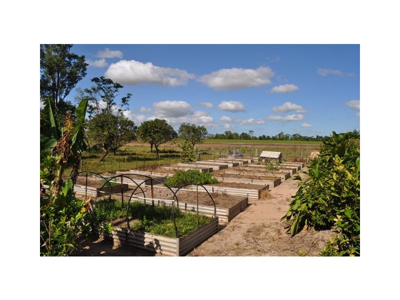 31 GAIA RD, Ingham QLD 4850