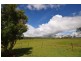 2937 Mount Fox Road, Mount Fox QLD 4850