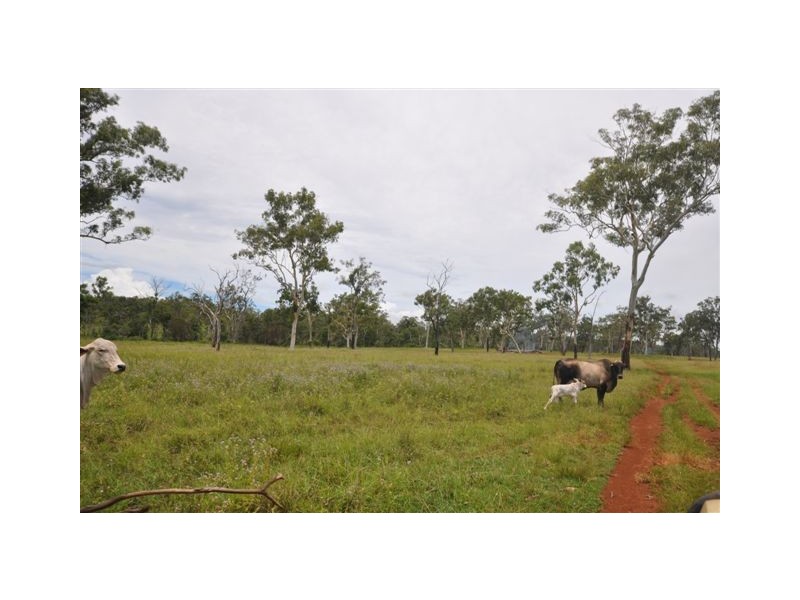 2937 Mount Fox Road, Mount Fox QLD 4850
