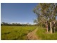 Ingham QLD 4850