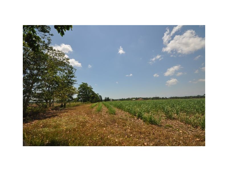 Hawkins Creek QLD 4850