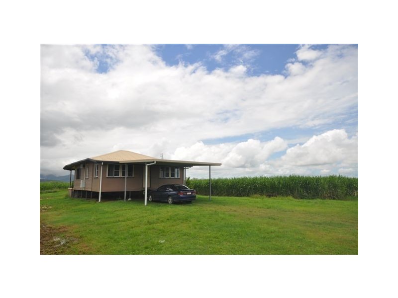 52 Abergowrie Road, Ingham QLD 4850