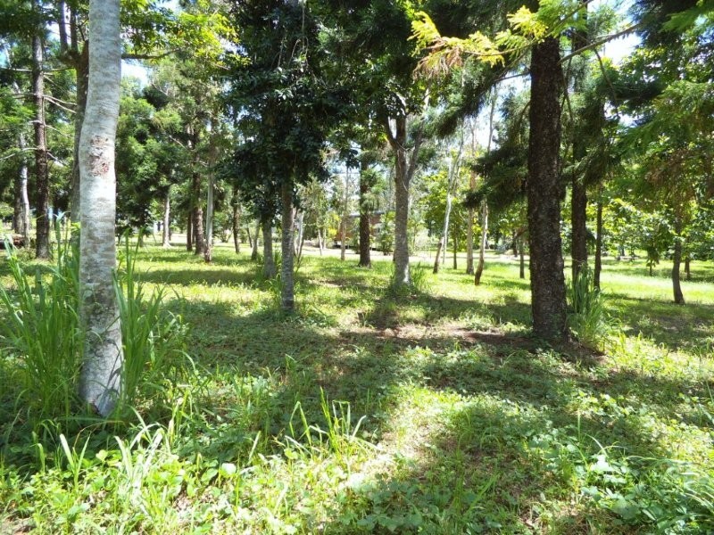 Braemeadows QLD 4850