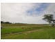 17 Dutton Street, Ingham QLD 4850