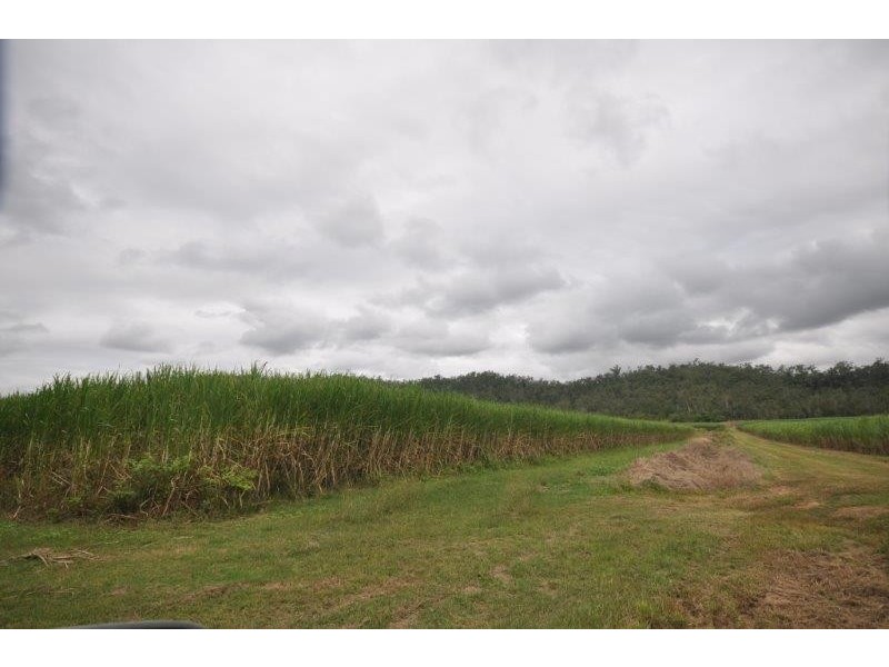 4 Laffeys Road, Wharps QLD 4850