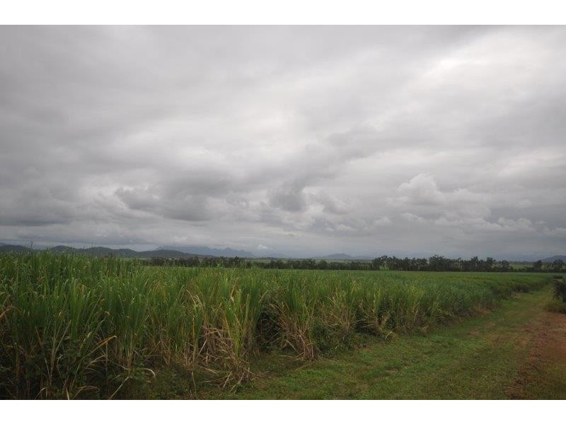 4 Laffeys Road, Wharps QLD 4850