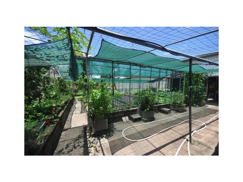 5 Covell Street, Ingham QLD 4850