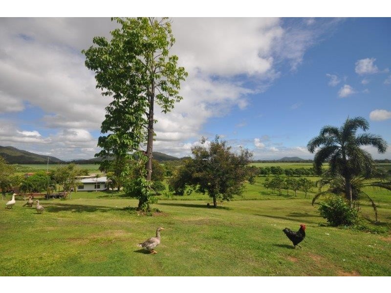 47316 Bruce Highway, Bambaroo QLD 4850