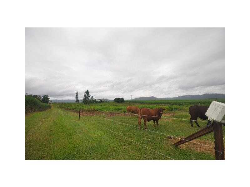 106 Cantamessas Road, Abergowrie QLD 4850