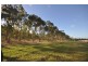 46543 Bruce Highway, Ingham QLD 4850