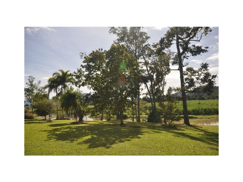 2350 Hawkins Creek Road, Dalrymple Creek QLD 4850