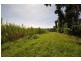 2350 Hawkins Creek Road, Dalrymple Creek QLD 4850