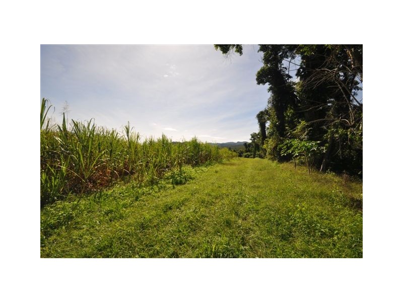 2350 Hawkins Creek Road, Dalrymple Creek QLD 4850