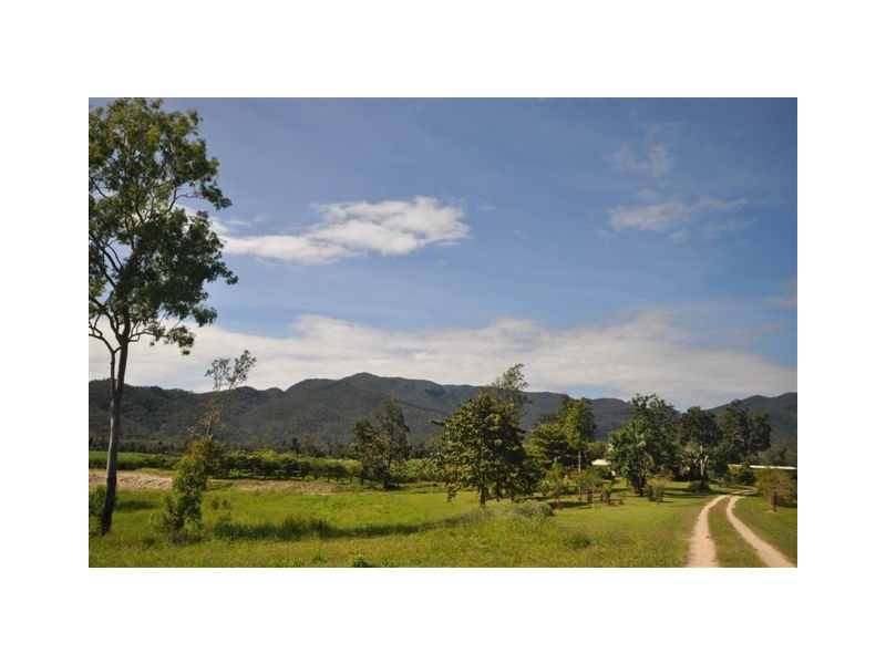 2350 Hawkins Creek Road, Dalrymple Creek QLD 4850