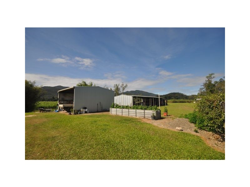 2350 Hawkins Creek Road, Dalrymple Creek QLD 4850