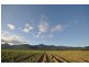 0 Copleys Road, Abergowrie QLD 4850