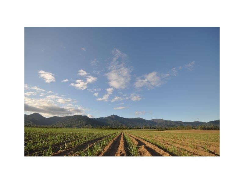 0 Copleys Road, Abergowrie QLD 4850
