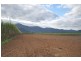 0 Copleys Road, Abergowrie QLD 4850