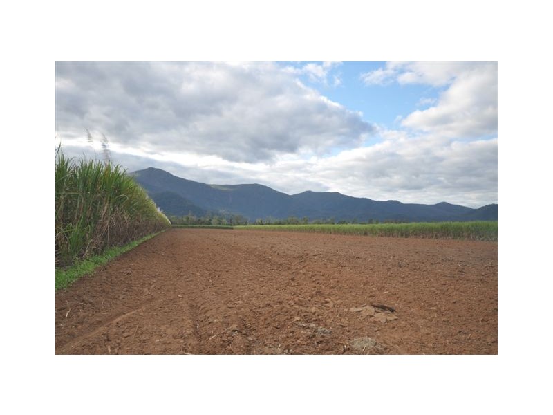 0 Copleys Road, Abergowrie QLD 4850