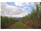 0 Copleys Road, Abergowrie QLD 4850