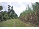 0 Copleys Road, Abergowrie QLD 4850