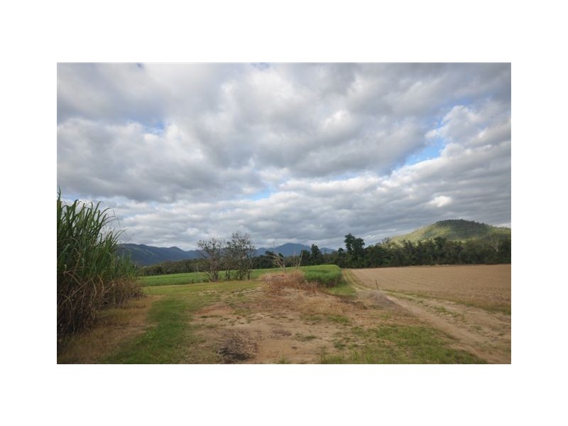 0 Copleys Road, Abergowrie QLD 4850