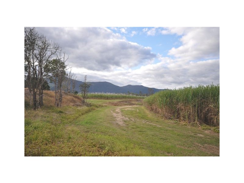 0 Copleys Road, Abergowrie QLD 4850