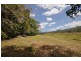 398 Mount Fox Road, Upper Stone QLD 4850