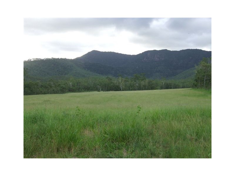 398 Mount Fox Road, Upper Stone QLD 4850