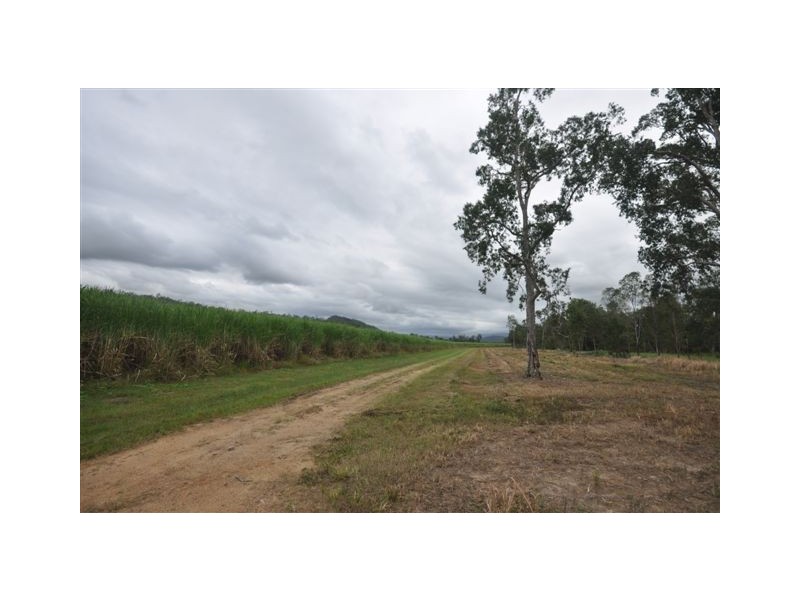398 Mount Fox Road, Upper Stone QLD 4850