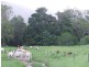 398 Mount Fox Road, Upper Stone QLD 4850