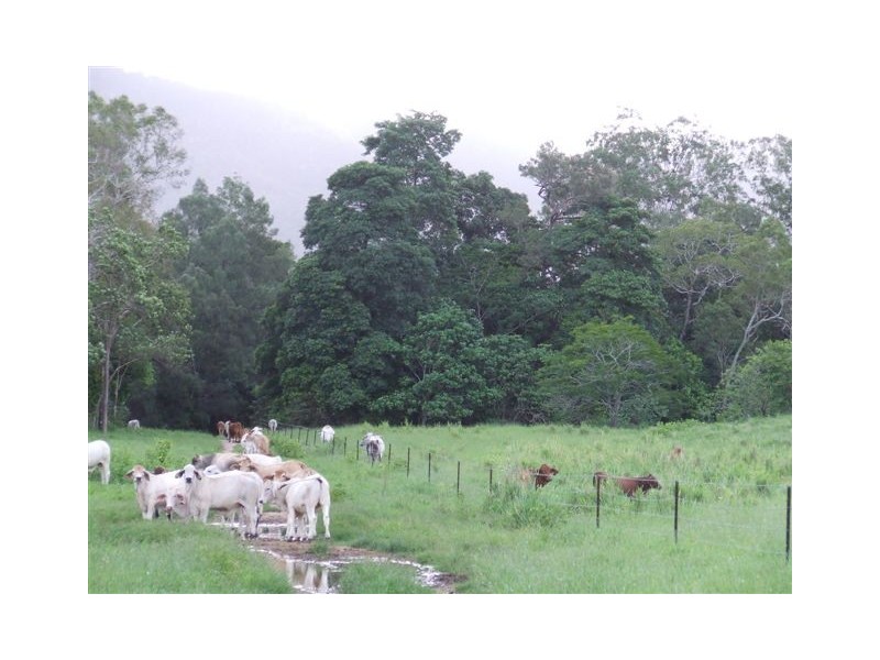 398 Mount Fox Road, Upper Stone QLD 4850