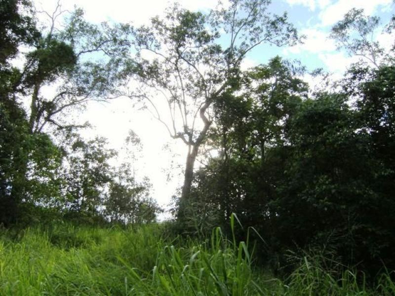 . Abergowrie Road, Abergowrie QLD 4850