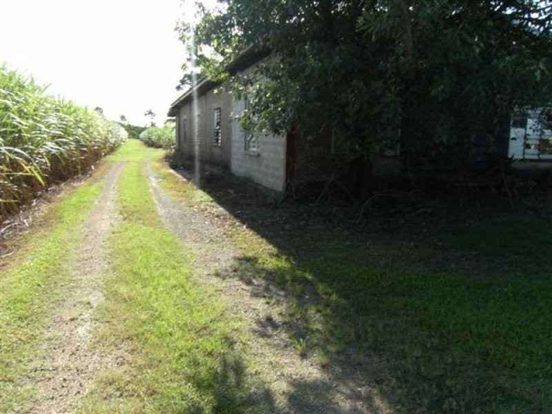 928 Hawkins Creek Road, Hawkins Creek QLD 4850