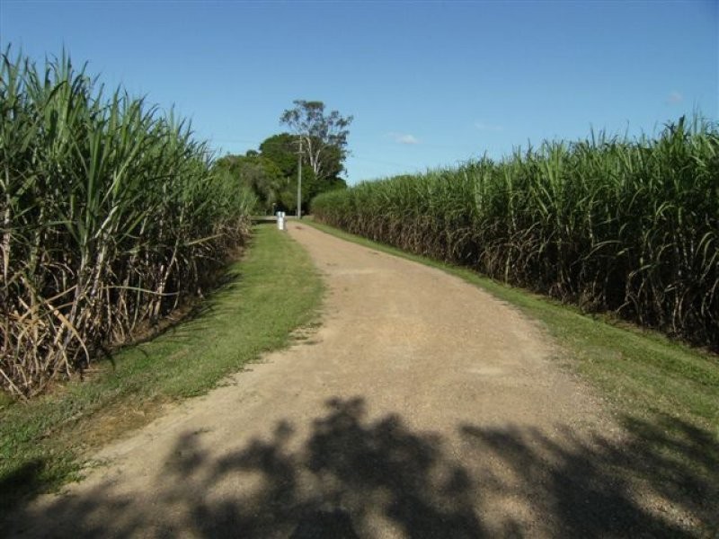 928 Hawkins Creek Road, Hawkins Creek QLD 4850