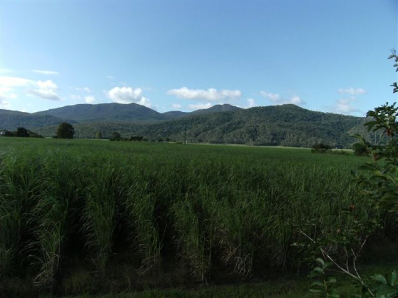 928 Hawkins Creek Road, Hawkins Creek QLD 4850