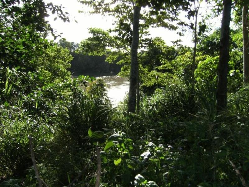 928 Hawkins Creek Road, Hawkins Creek QLD 4850