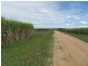 . Palmas Road, Hawkins Creek QLD 4850
