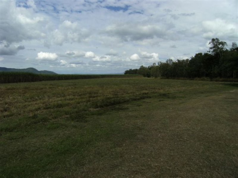 126 Wests Road, Hawkins Creek QLD 4850